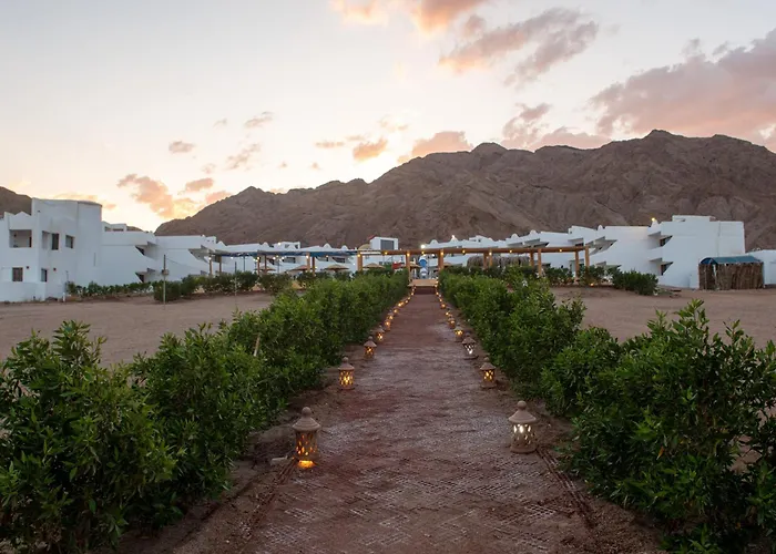 Golden Heights 3* Dahab